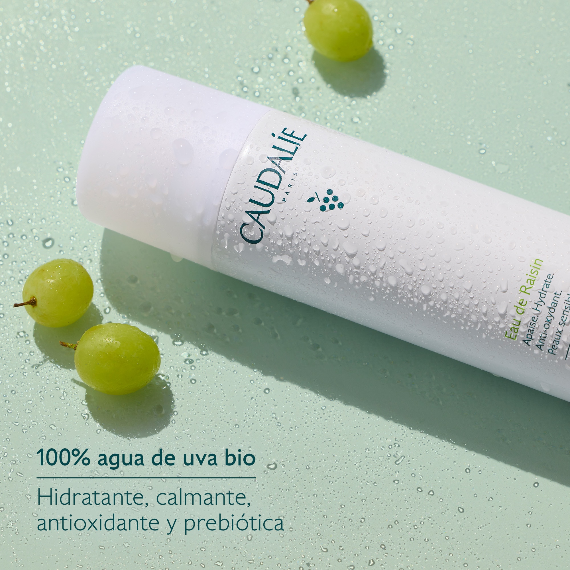 AGUA DE UVA (BRUMA FACIAL)